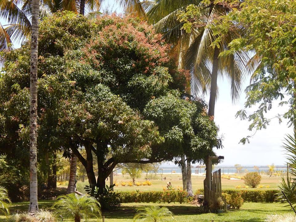 Pousada Aguazul มาเรา ภายนอก รูปภาพ